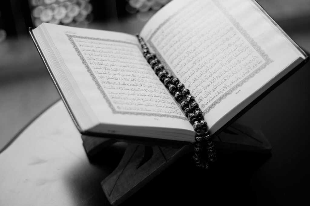 What does Islam Mean? Quran Majeed Blog