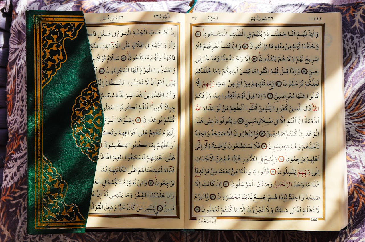 beautiful quran open in sunlight